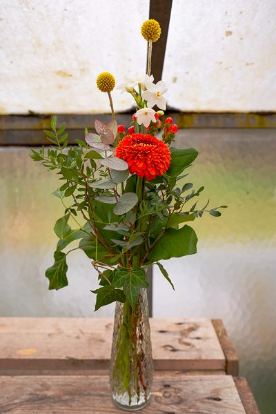 Buntes_Vasenglück_1