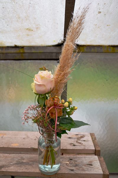 Rosa_Rosen_Bär_1