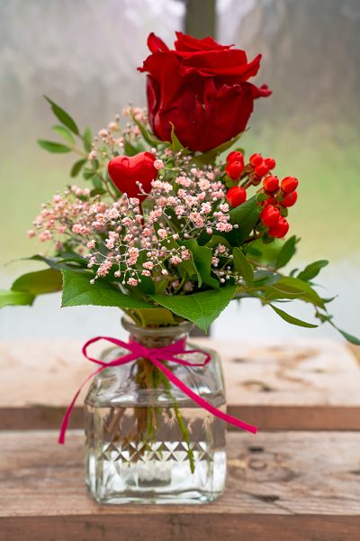 Rose_kleine_Aufmerksamkeit_3
