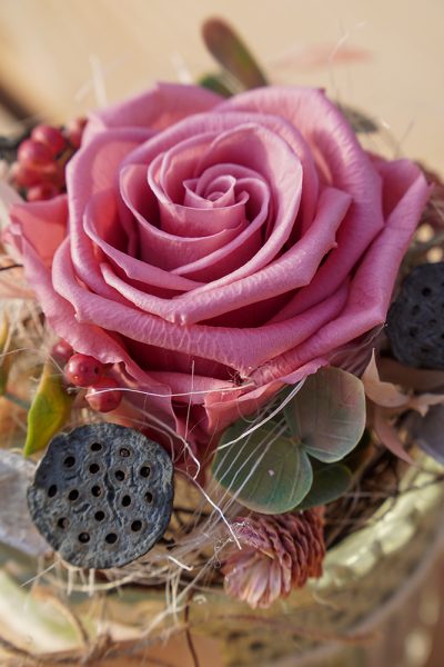 infinity_rosa_3